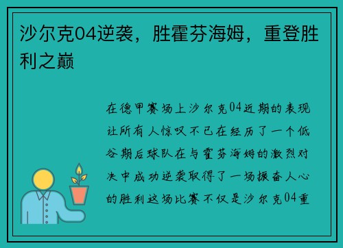 沙尔克04逆袭，胜霍芬海姆，重登胜利之巅